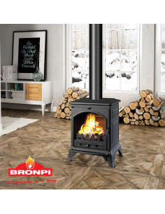 ESTUFA DE LEÑA FUNDICIÓN... 2